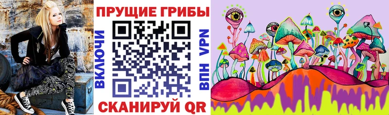 Купить  Челябинск  Псилоцибиновые грибы Magic Shrooms 